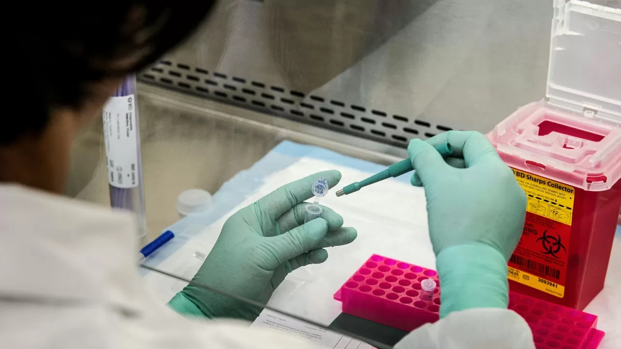 What functions do peptide horm