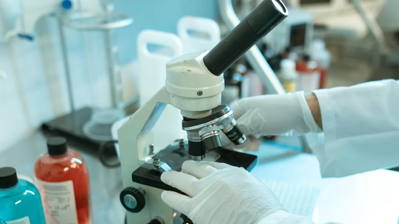 How do peptides improve perfor