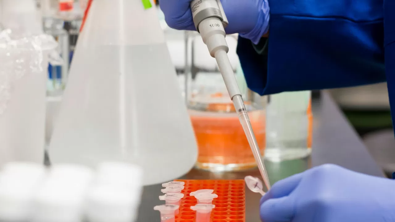 Is insulin a protein or peptid